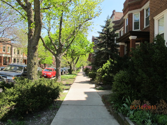 1461 W Catalpa